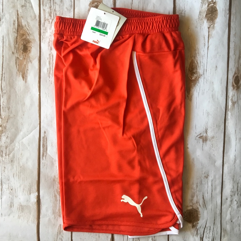 Puma Speed Soccer Shorts Size Size L NWT